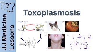 humán toxoplasmosis inkubációs periódus