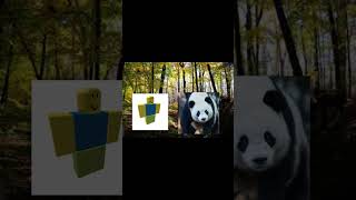 Update #game #animal #tower #defense #roblox #development #getout #meme #funny #edit #music