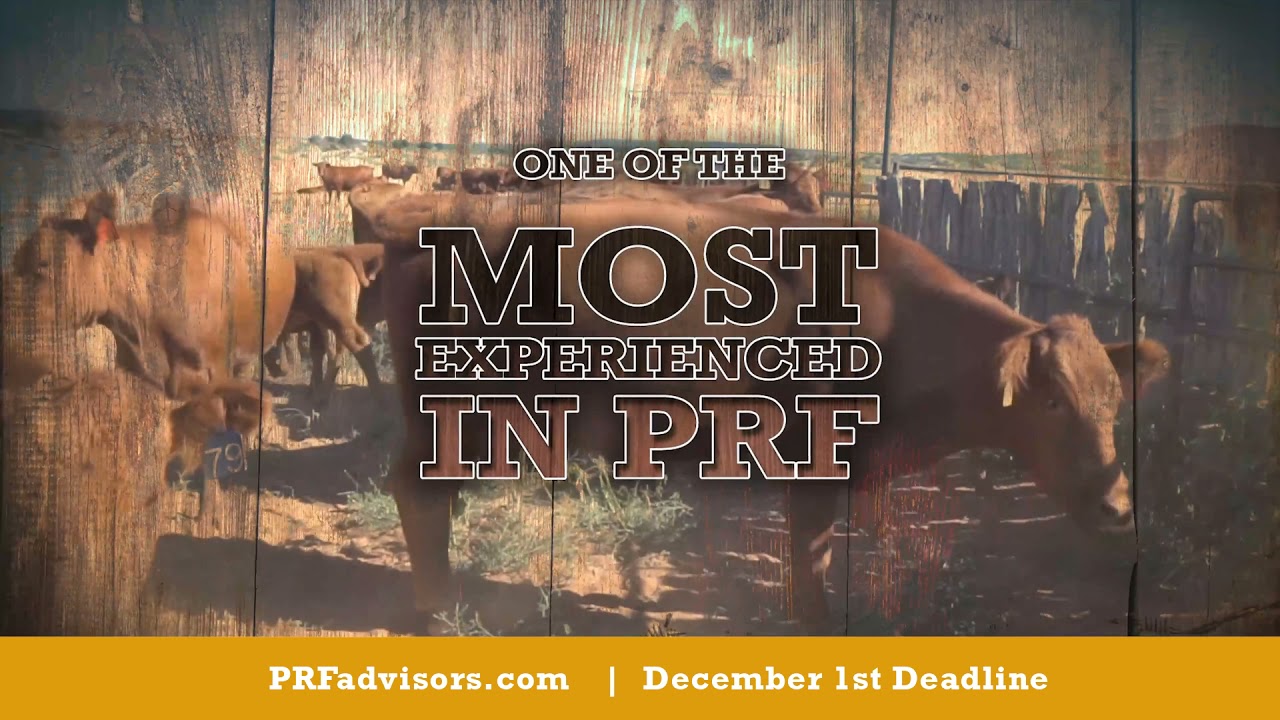 AgRisk Advisors: A Real PRF Partner