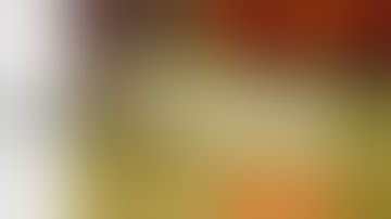 POKEMON POCKET MONSTERS (EPISODE 4)[WITH MUSIC]