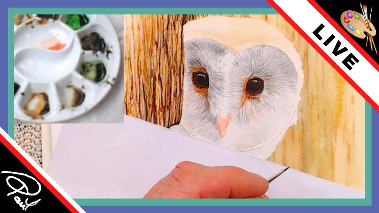 The Devon Artist Live Stream - How to paint the face of a Barn Owl in realistic watercolour