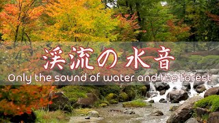 自律神経を整える自然音 / 癒しbgm / 睡眠用bgm / 瞑想用bgm / relax bgm / only the sound of water and the forest