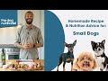 Small dogs  homemade dog food recipes complete  balanced  the dog nutritionist