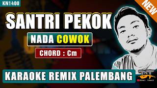 SANTRI PEKOK - ARIF CITENX (NADA PRIA) KARAOKE REMIX PALEMBANG