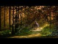 jungle scene- matte painting+camera animation(after effects)