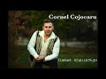 Cornel Cojocaru - Daca doctorul mi-ar spune - Cel mai nou colaj cu Muzica de petrecere 2021
