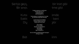 Şiirim/Adımlarımda İtiraz Aklımda Hayalin Var...sokaklar...i̇nat Ve Acı..kutsal...