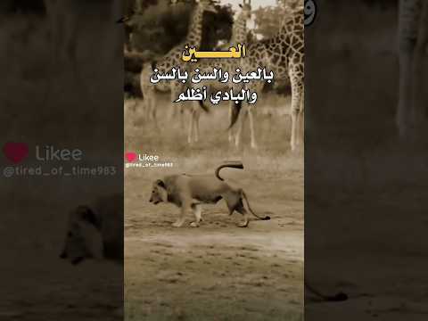العين بالعين والسن بالسن والبادي أظلم