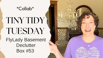 Tiny Tidy Tuesday Collab | Box #53 | FlyLady Babysteps Basement Declutter