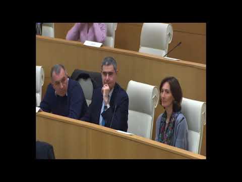 ამირან ზენაიშვილი ადგილობრივი თვითმმართველობის საბჭო