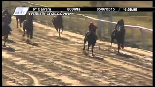 05/07/2015 – Hipodromo Colonia – Carrera 6 – HERZEGOVINA