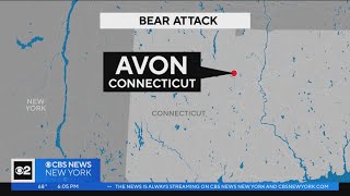 74-year-old woman attacked by bear in Connecticut