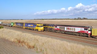 5MP2 Pacific National Steel Train Crosses SCT's 7922v Container Train (2/5/2024) - PoathTV Railways