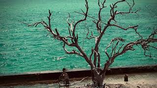 Tone Matrix - Coast