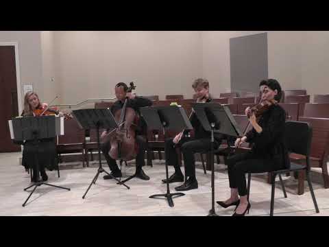 "Make You Feel My Love" by Adele, performed by the Pan String Quartet