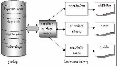 ทำความรู้จัก database และ dbms