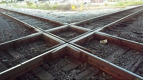 Amtrak Silver Star Train Goes Through Diamond Under Bridge