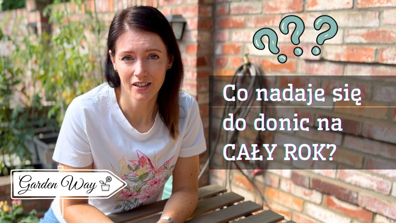 TOP 6 - Całoroczne rośliny do donic