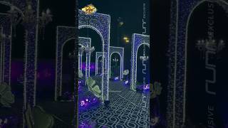 Events Reel 16