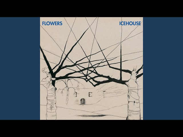 Flowers - Boulevarde