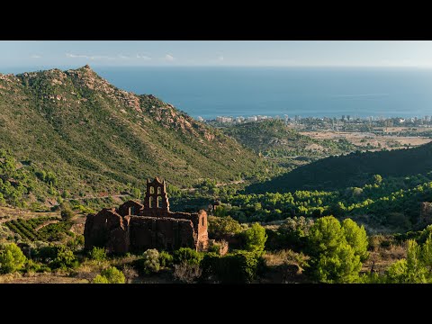 ITINERARIOS: Qué hacer en la Costa del Azahar en 5 días Descubre la provincia de Valencia en 5 días: Ruta turística por la Costa del Azahar 2025