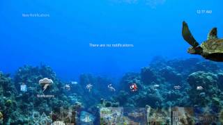 PS4 Dynamic Theme: 3D Turtles