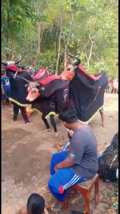 kembangan sholawat nabi | Bantengan Rojo Maheso Syuro