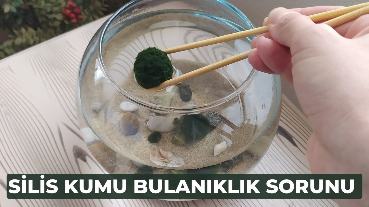 Silis Kumu Bulanıklık Sorunu Çözümü