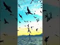 #beautiful