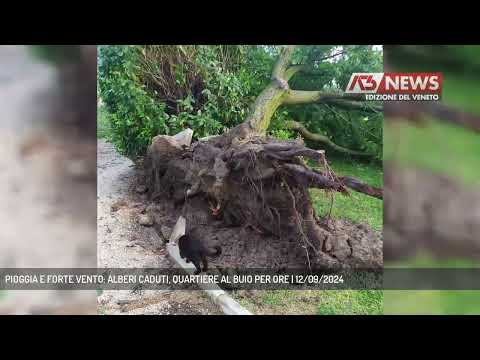 PIOGGIA E FORTE VENTO: ALBERI CADUTI, QUARTIERE AL BUIO PER ORE | 12/09/2024