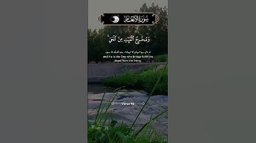 فَالِقُ الْحَبِّ وَالنَّوَى | تأمل في خلق الله | سورة الأنعام آية 95 | تلاوة خاشعة بصوت جميل