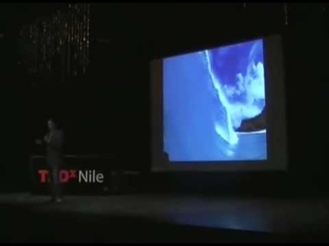 TEDxNile - Ahmed Adel - 04/01/2010 part 1