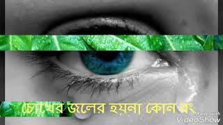 Chokher Jaler Hoyna Kono Rang, Kishore Kumar