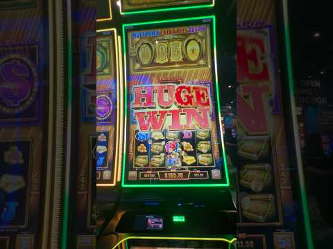 MY BIGGEST WIN EVER - 92 Free Spins on Buffalo Gold
