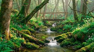 Water Sounds for Relaxation, Crystal Stream Flow, Natural Calm for Rest the Mind #8