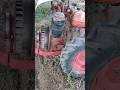 motor Lombardini diesel pasquali