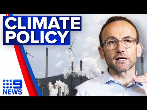 Federal government strikes climate policy deal with the greens | 9 news australia