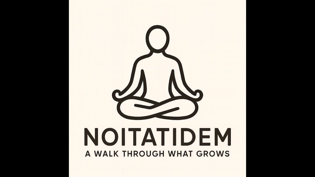 Warm Chaos | noitatideM | Meditation | Morning Meditation | 