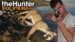 '300+ METER SCHOT&JAGEN OP WOLVEN!' The Hunter Call of The Wild screenshot 2