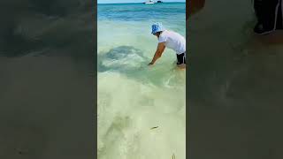 Hamelin Bay #travel #cuocsongouc #xunghuong #beach #hamelin