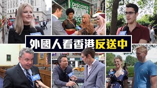 紐約/倫敦街訪：你對香港反送中的看法是什麼？Do You Know About HK Anti-Extradition Protest │老外看香港│郝毅博 Ben Hedges│新唐人電視台