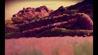 No Man's Sky - 2D grass sprites in 3D space doesn't work... screenshot 5