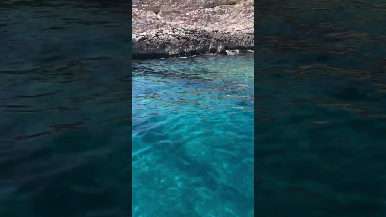 Visite des calanques de Marseille en bateau écologique !