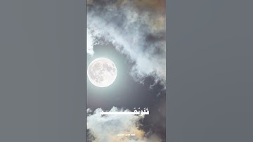 جمال القرآن 🤍🤍 #قرآن #المنشاوي #تلاوة_خاشعة  #ستوري_قرآن