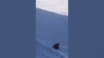Crazy Snowmobile Fail