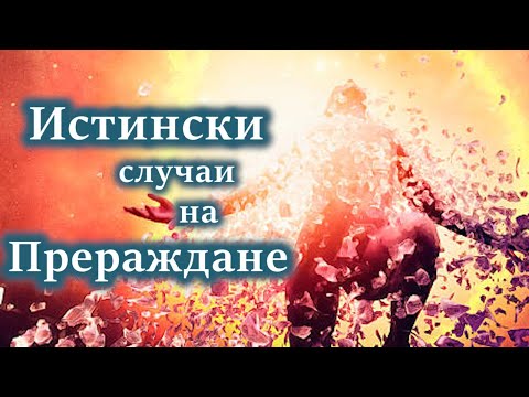 Видео: Живописна ферма за мравки