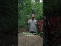 Pecinta Alam yang Sebenarnya