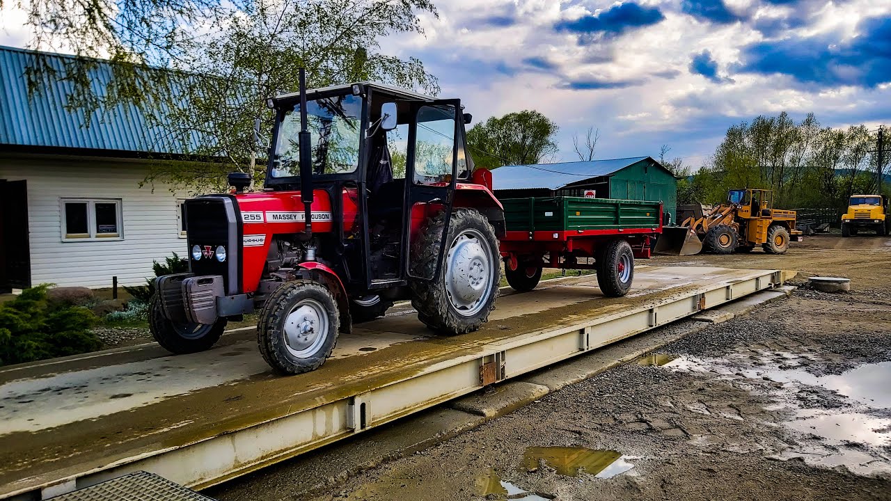 Wyjazd na żwirownie☆MF255☆Przyczepa Jednoosiowa