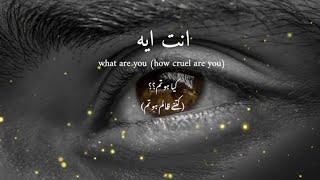 Enta eih _ Arabic song  _ Lyric with Urdu   English _ Slowed reverb