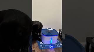 Im Glad She Likes It